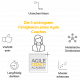 Fähigkeiten Agile Coach